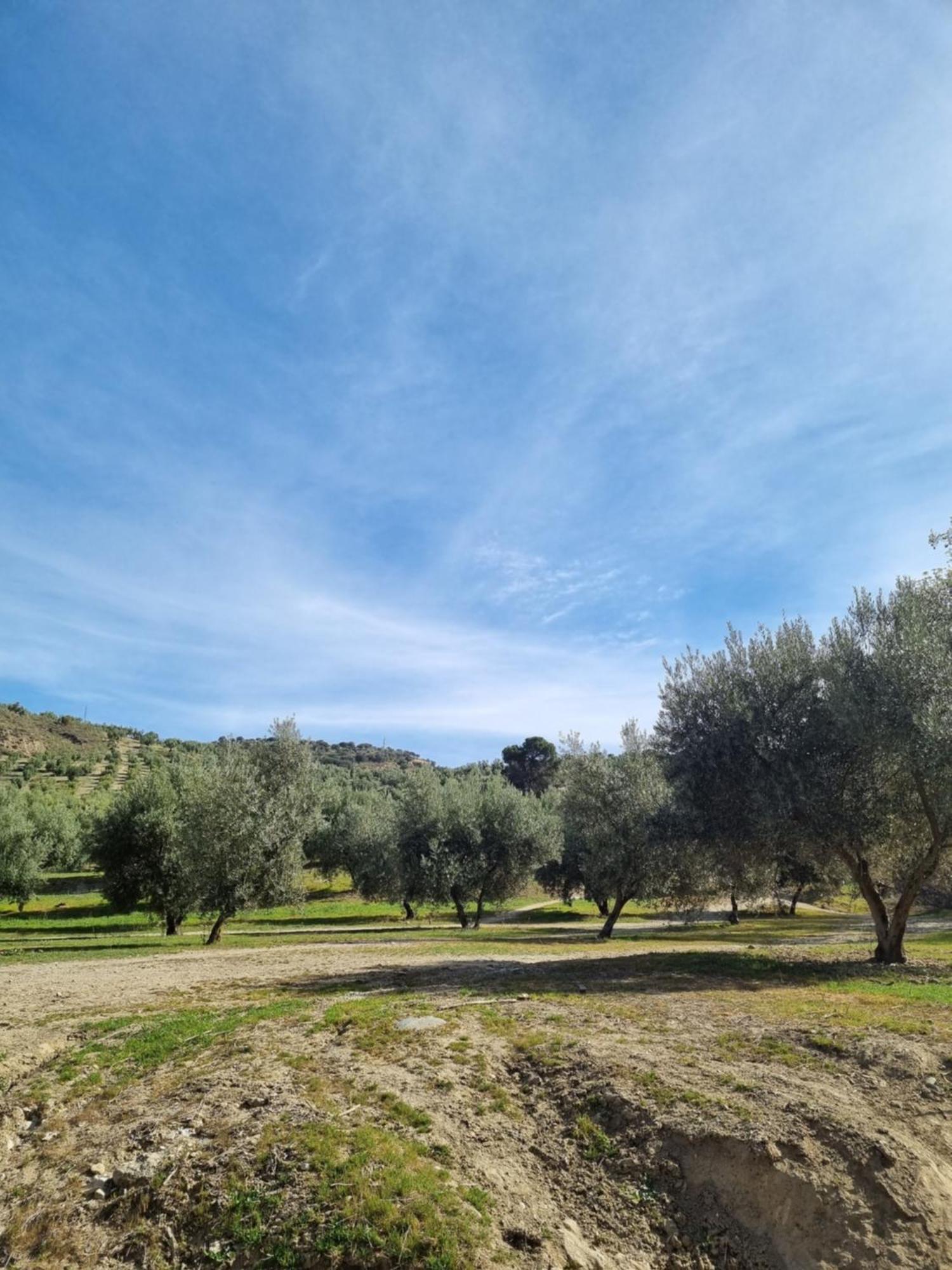 La Colina Ladyblue Apto Acogedor Cerca De Sierra Nevada Y Alhambra Сенес де ла Вега Экстерьер фото