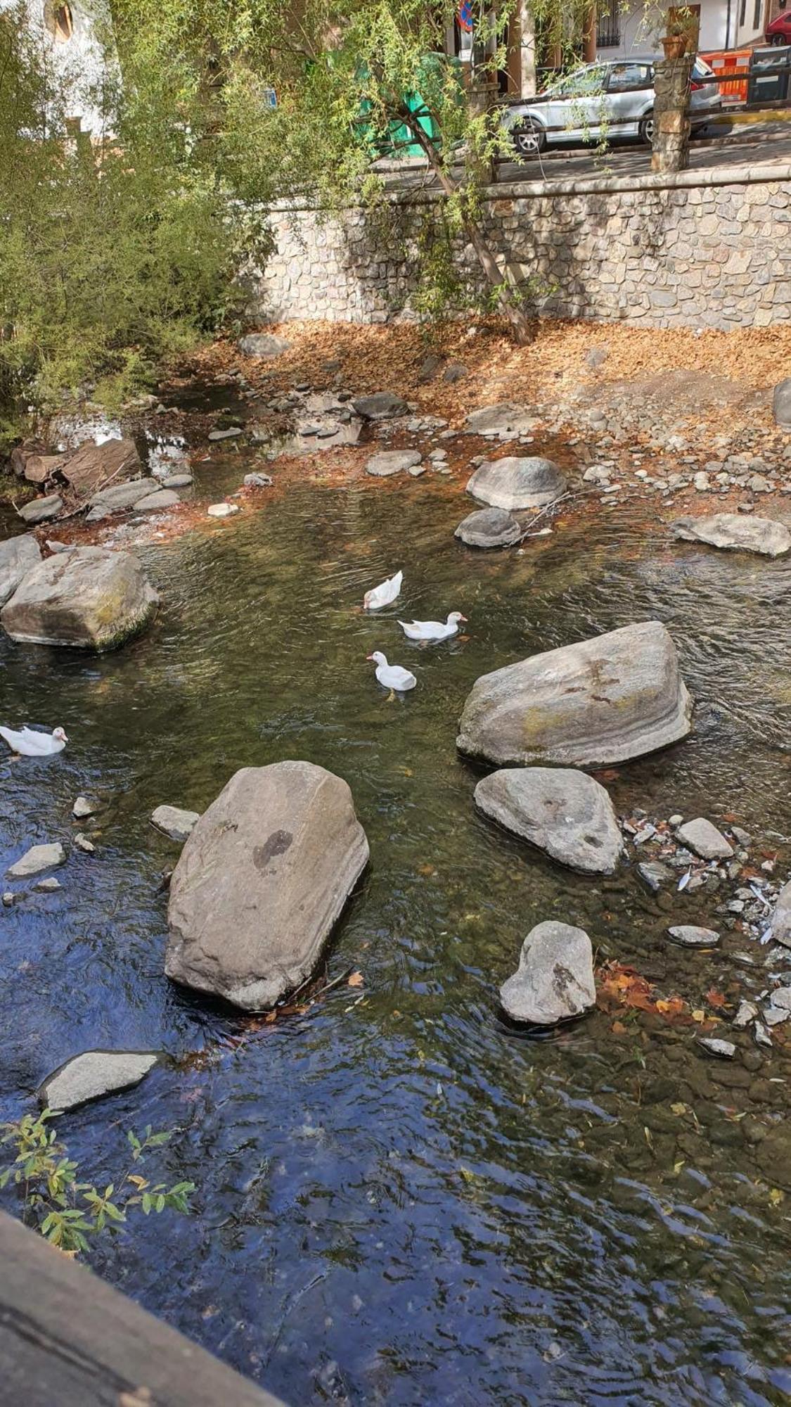 La Colina Ladyblue Apto Acogedor Cerca De Sierra Nevada Y Alhambra Сенес де ла Вега Экстерьер фото
